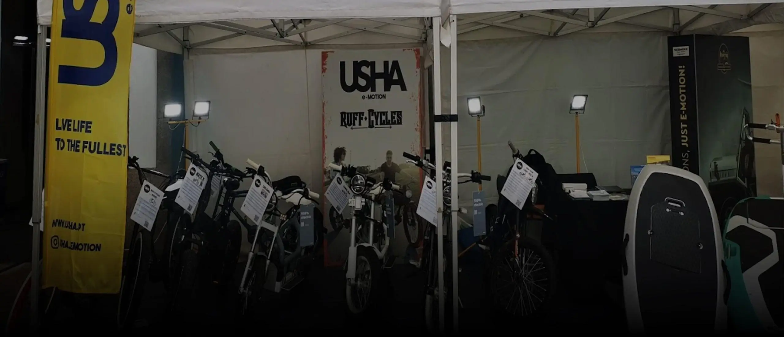 Usha