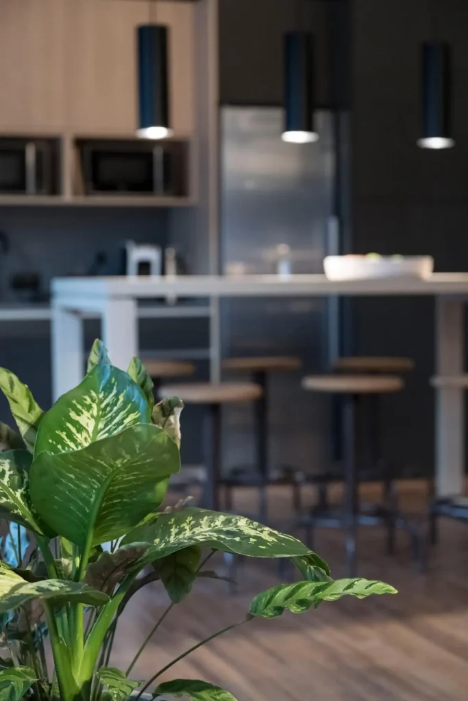 Planta e zona da copa do Outglocal Coworking